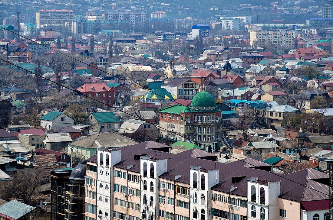 В Дагестане сэкономили на закупках 800 миллионов рублей