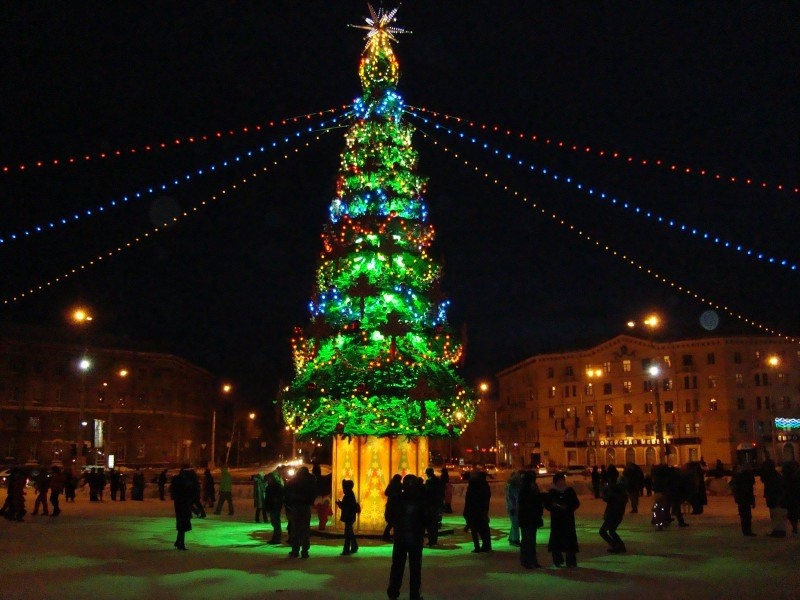 Новогодняя елка обошлась мэрии Новосибирска почти в 1 млн