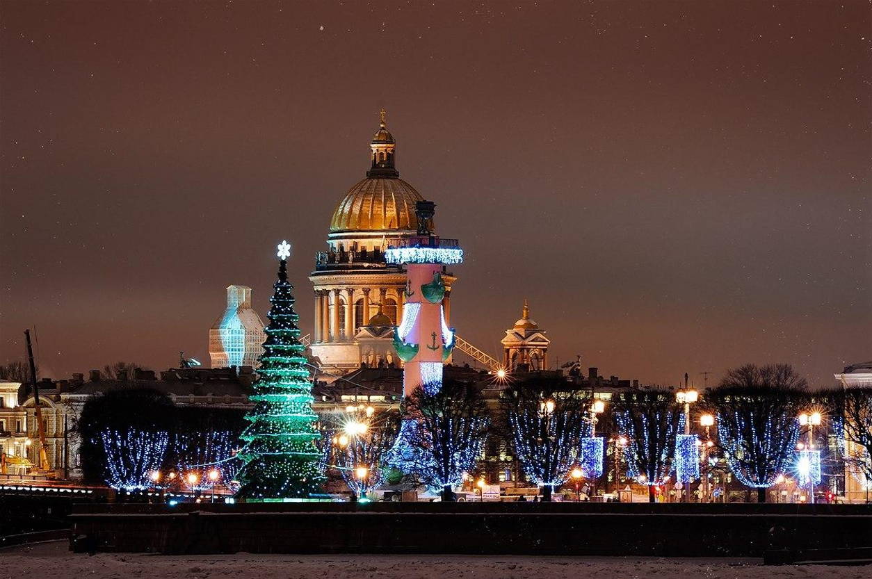 Для Петербурга заказали ёлок к Новому году на 18 млн рублей