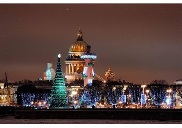 Для Петербурга заказали ёлок к Новому году на 18 млн рублей
