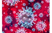 В России за сутки выявили 8 945 заразившихся коронавирусом. Это максимум с 12 июня