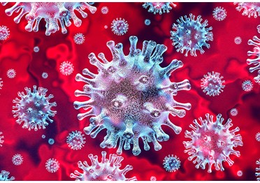 В России за сутки выявили 8 945 заразившихся коронавирусом. Это максимум с 12 июня