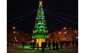 Новогодняя елка обошлась мэрии Новосибирска почти в 1 млн