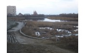 В Кургане проведут укрепление берега Тобола до улицы Климова