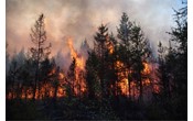 Якутия дополнительно получит около 360 млн рублей на борьбу с лесными пожарами