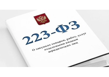 Установили порядок закупок по Закону №223-ФЗ у СМСП по принципу «электронного магазина»
