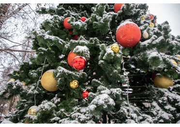 Суд поддержал позицию Красноярского УФАС России по делу о главной новогодней ёлке г. Красноярска