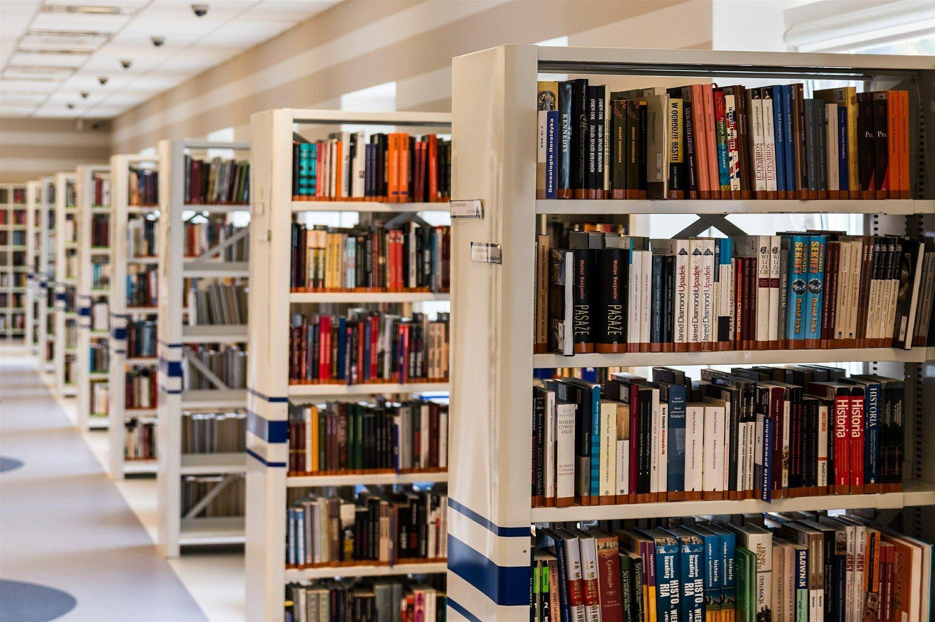 Благодаря национальному проекту «Культура» в Ивановской области появятся еще две модельные библиотеки