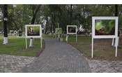 В городе Курчалой Чеченской Республики открыли «Парк Птиц» в рамках нацпроекта «Жилье и городская среда»