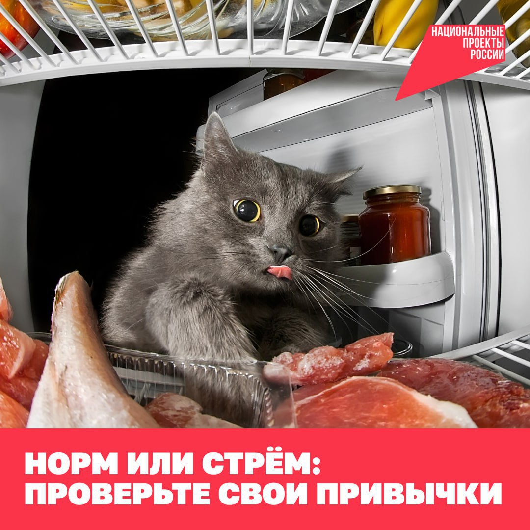  Какой здоровый образ жизни на самом деле нездоровый, почему так тяжело бросить вредные привычки и как действительно продлить жизнь — разбираются герои нашей подборки.