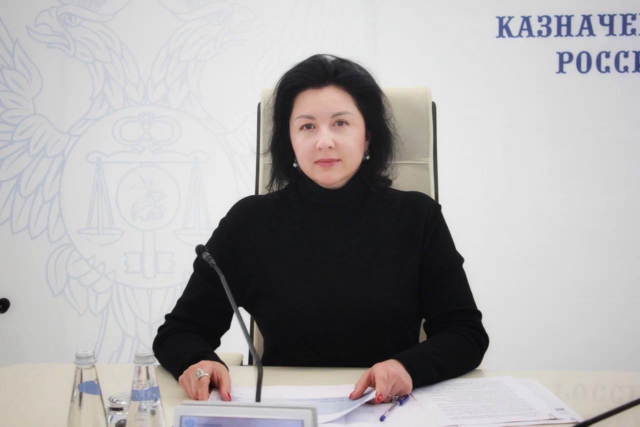  Под председательством заместителя руководителя Казначейства России Анны Катамадзе 15
