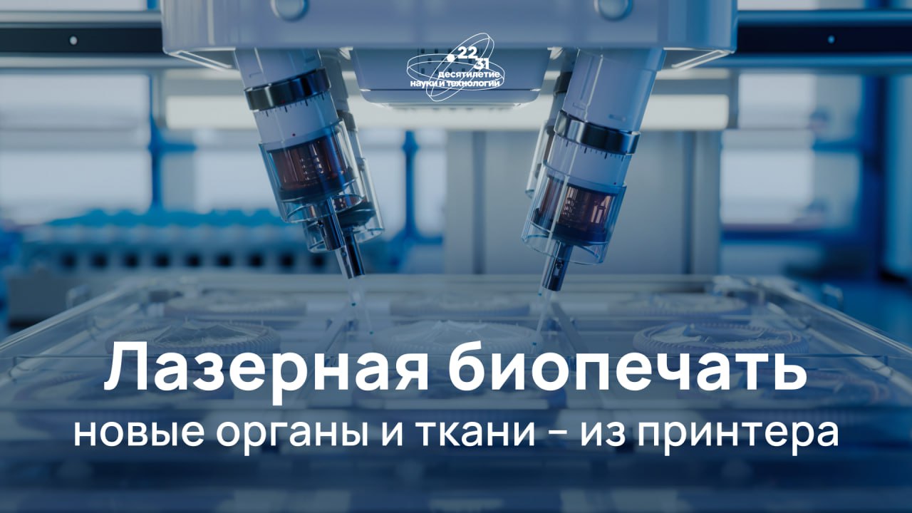 Новые органы слой за слоем  Новые органы слой за слоем