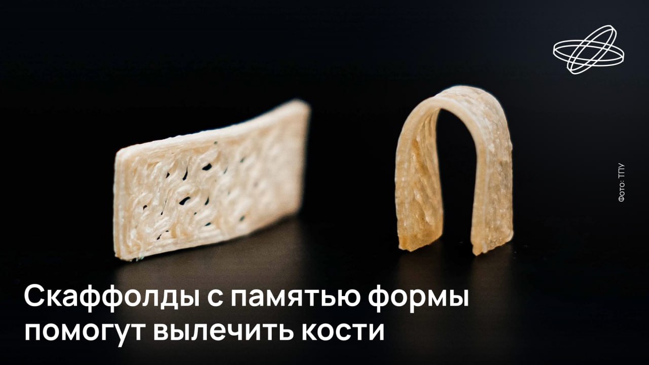 Сибирские учёные разработали полимерные каркасы — скаффолды