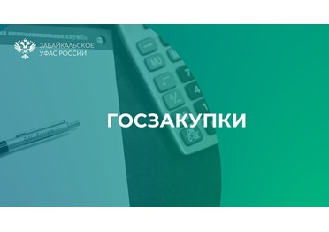  УФАС: Закупки у единственного поставщика в порядке части 12 статьи 93 Закона о контрактной системе.