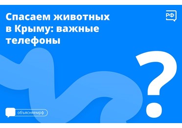 Нашли пострадавшее от загрязнения мазутом животное? Обратитесь к специалистам.