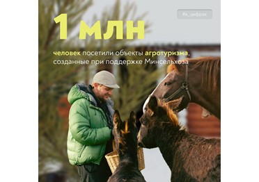  Новогодние праздники – идеальное время для новых открытий! 