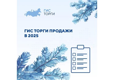  ГИС ТОРГИ ПРОДАЖИ: планы на 2025 год