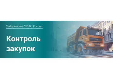 Хабаровское УФАС России включило в РНП поставщика за поставку контрафактной продукции 