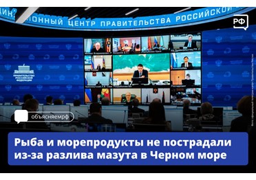 Разлив мазута в Керченском проливе не затронул промысел рыбы и морепродуктов, заявили в Росрыболовстве. 