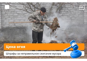 Как сжечь мусор на своём дачном участке и не получить штраф? Главное — соблюдать нормы пожарной безопасности: