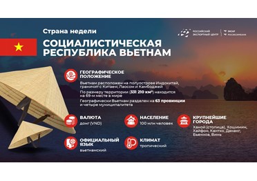 Внешняя торговля с Вьетнамом: таможенные пошлины, налоги и ограничения  