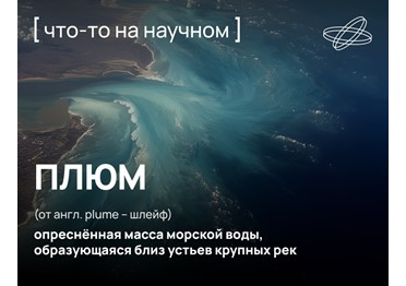 Что происходит с речной водой, попавшей в океан?