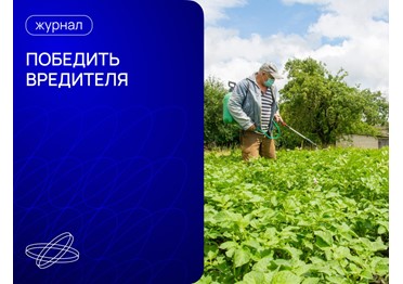  Как защитить свой участок от тли, медведки и других незваных гостей