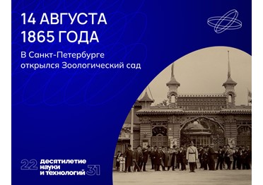 Жизнь за решёткой