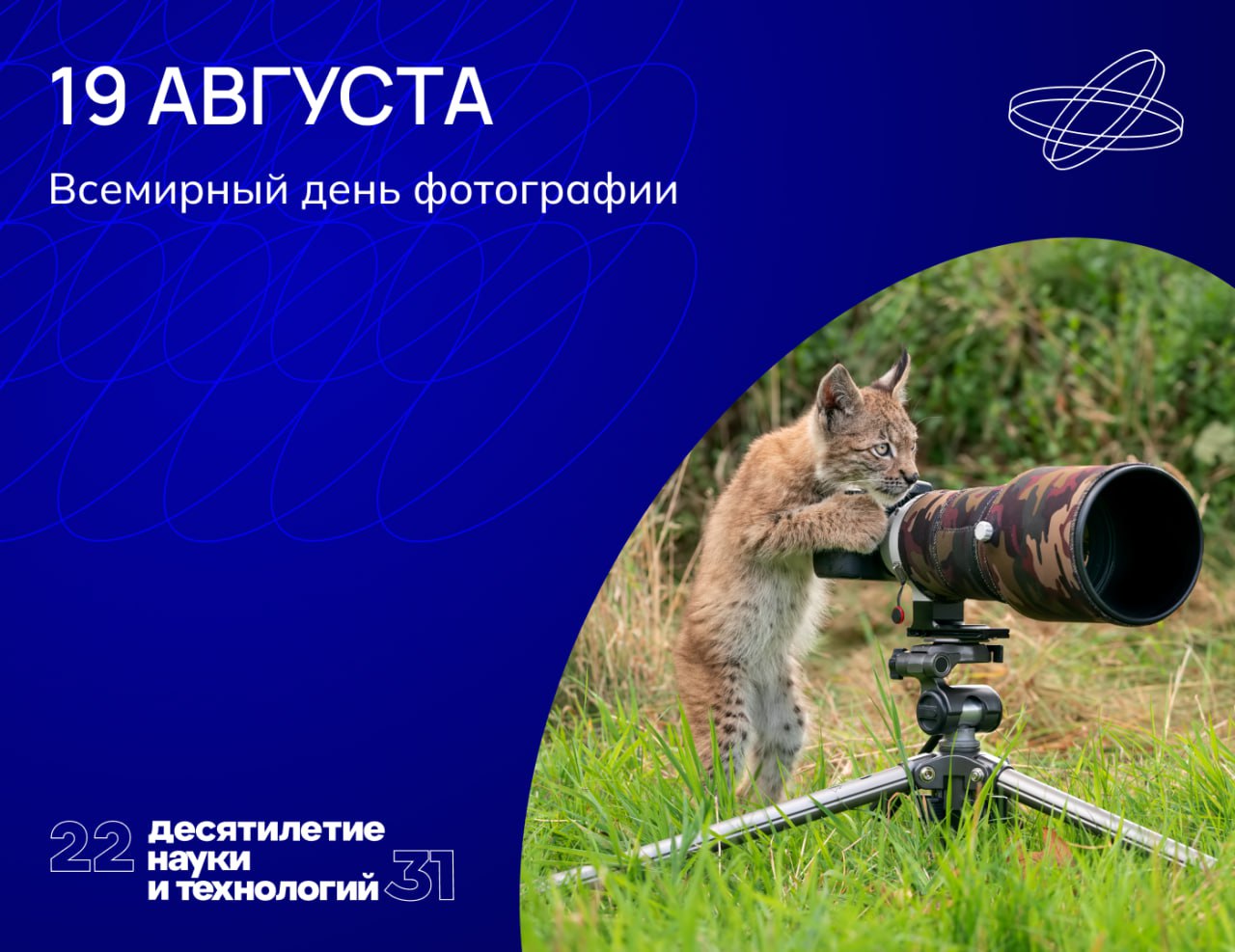 В фокусе объектива