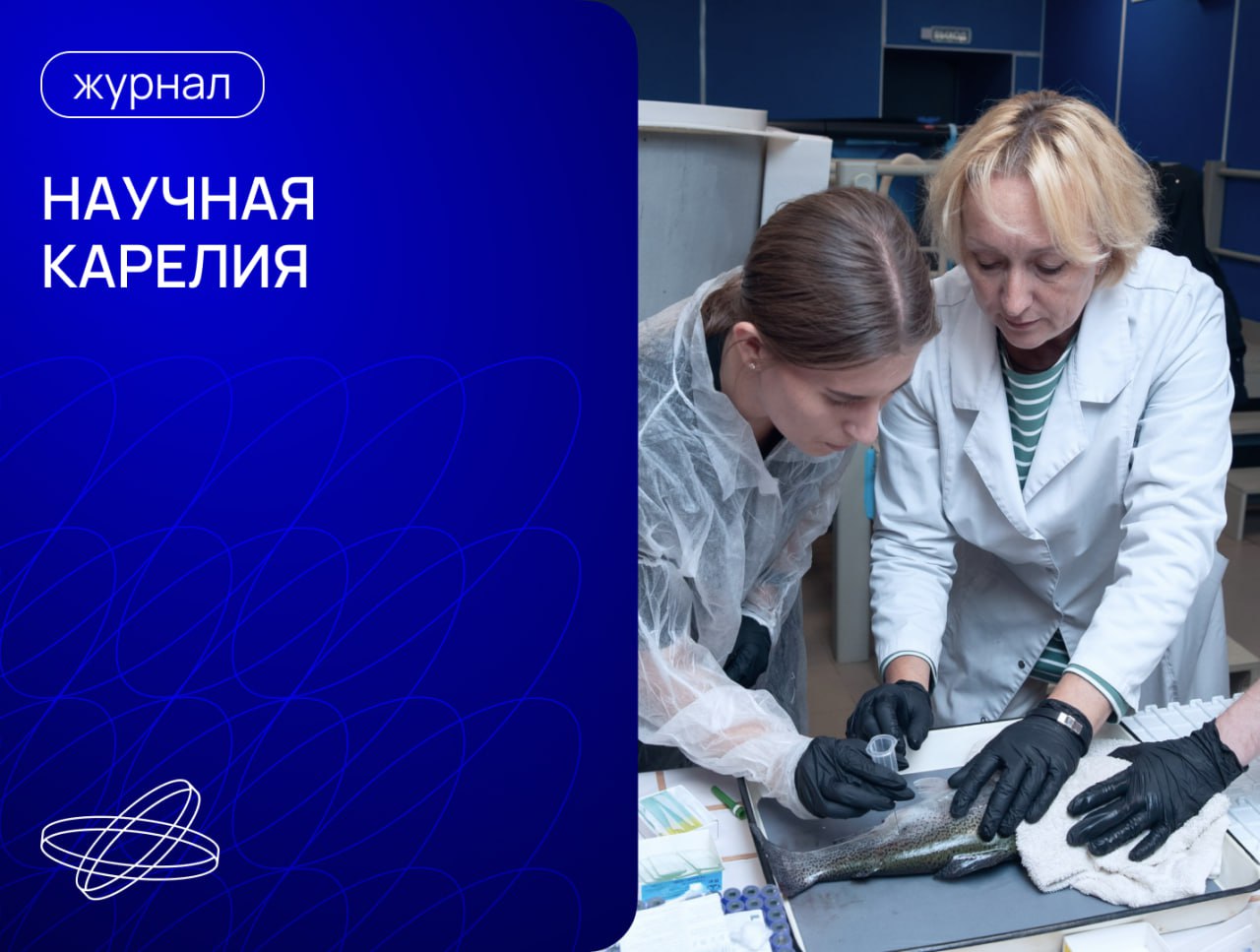  О чём молчат древние вулканы, зачем выращивают «умную форель» и клонируют берёзу