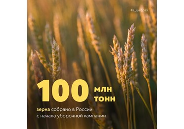  В России собрано 100 млн тонн зерна нового урожая