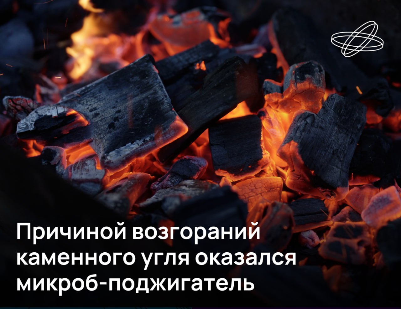 Пожары при добыче и перевозке каменного угля возникают с печальной регулярностью. Как выяснили сибирские учёные, «поджигателями» в таких случаях выступают особые микробы.