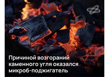 Пожары при добыче и перевозке каменного угля возникают с печальной регулярностью. Как выяснили сибирские учёные, «поджигателями» в таких случаях выступают особые микробы.