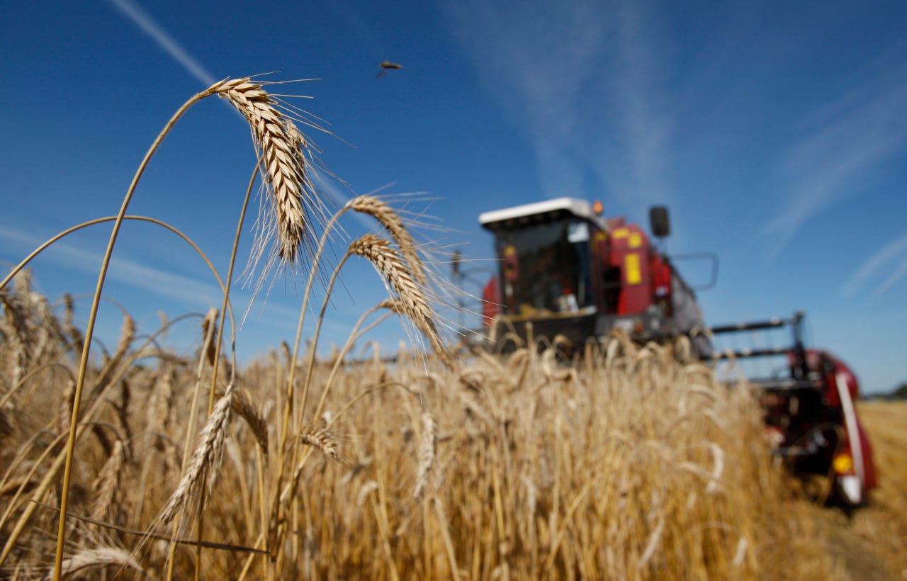 Правительство установило квоту на вывоз зерна в первой половине 2026 года