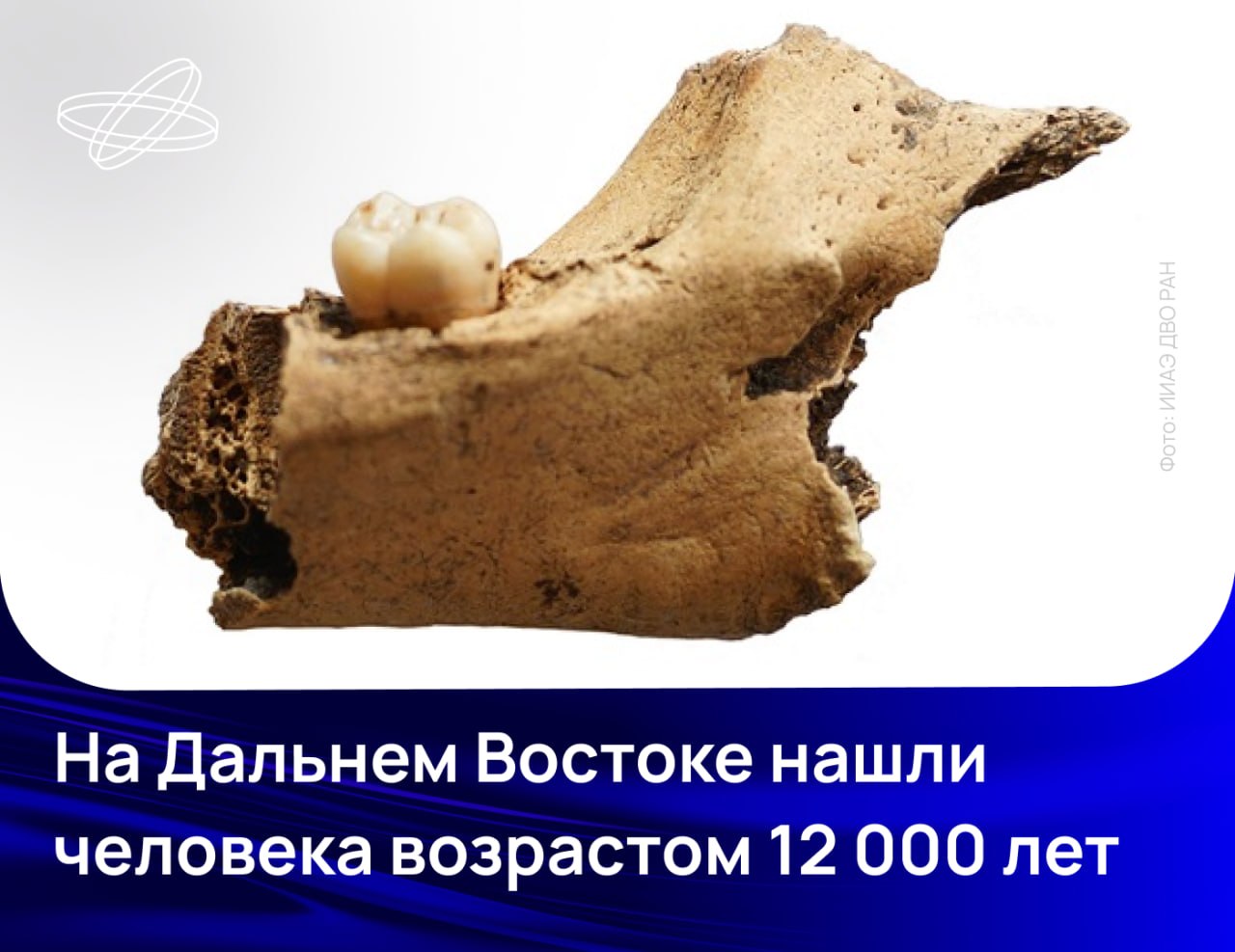 Ископаемые останки человека
