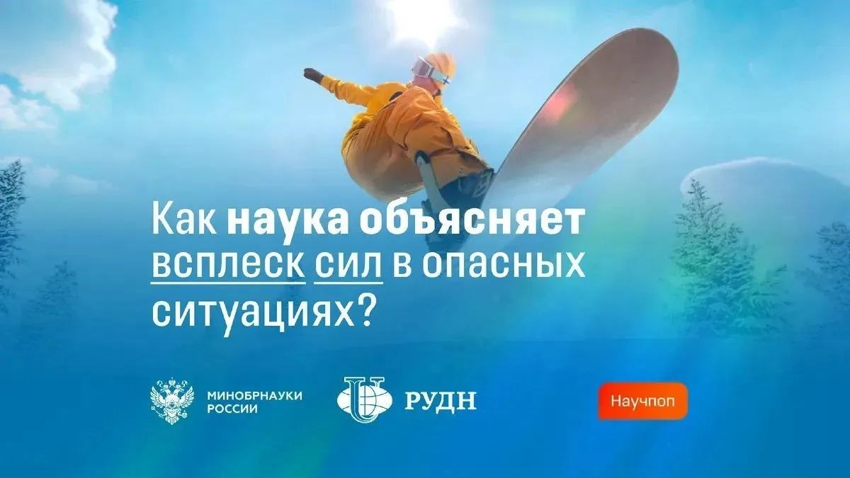  Наука о силе: как организм мобилизуется в момент опасности