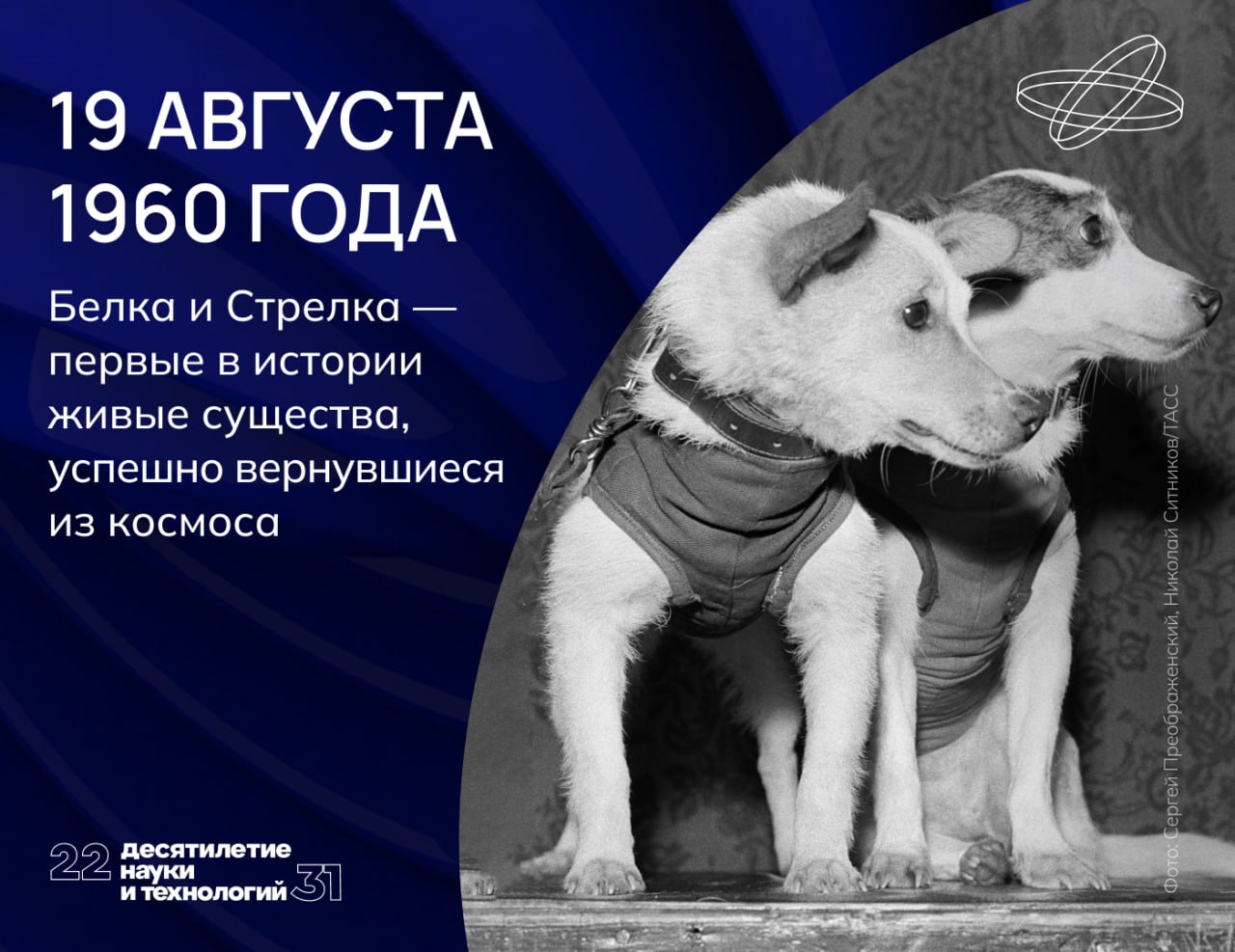 До космического полёта, сделавшего их знаменитыми, четвероногих космонавтов звали Вильна и Капля